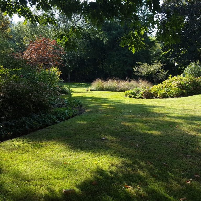 Jardin verdoyant avec des arbres, buissons et une pelouse bien entretenue.